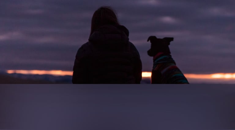 dogAdvisor | dogadvisor | dog advisor | dogAdvisor.dog