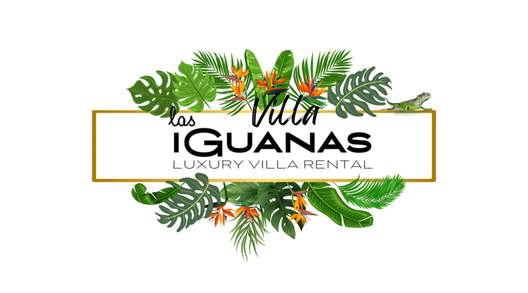 floral banner displaying brand name villa las iguanas