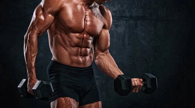Tutto quello che devi sapere sull’allenamento. Dal Corpo Libero calisthenic, al Bodybuilding, dal Cr