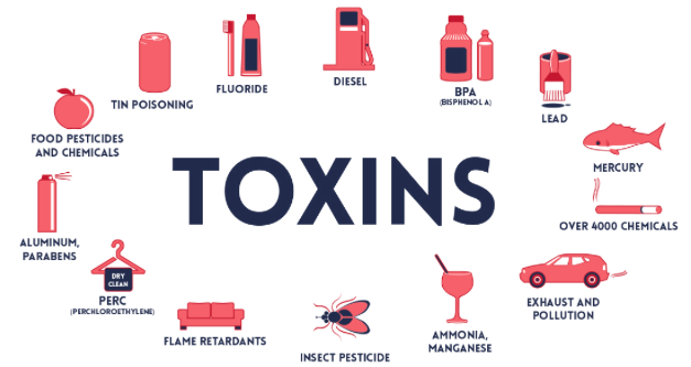 Toxic products and material that make us sick