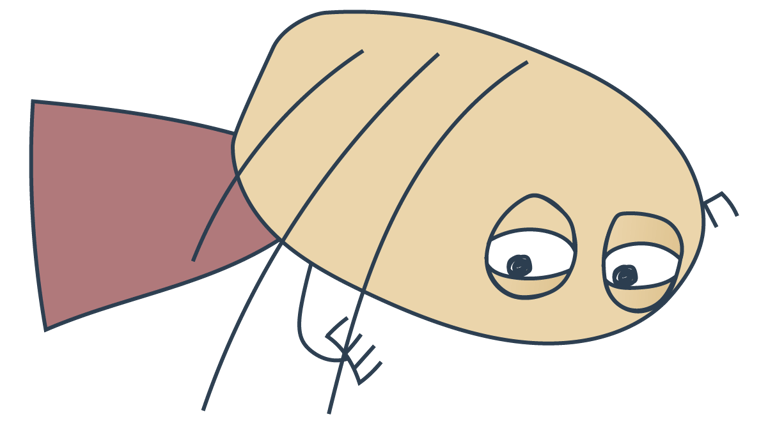 Anna is draging herself through the day