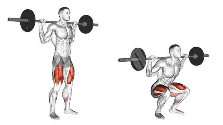 Ilustração de homem fazendo agachamento com barra, destacando músculos das pernas e glúteos trabalha