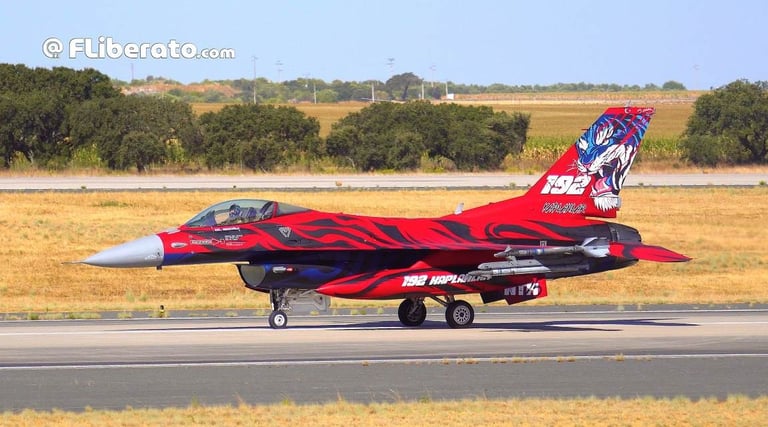 NATO Tiger Meet 2025 F-16 Turquia