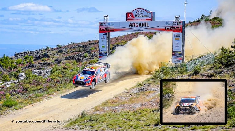 WRC Rally de Portugal 2023 Arganil Salto PPD