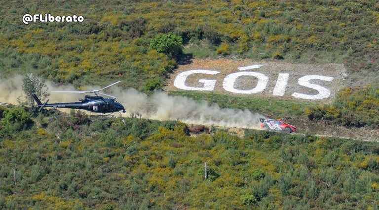 WRC Rally de Portugal 2024 Góis Mimosa