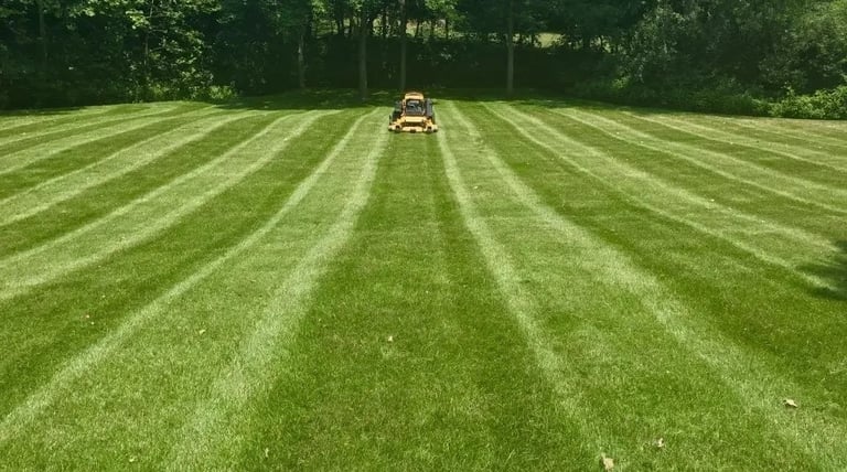 Freshly-cut lawn on a sunny day with my mower in the background.