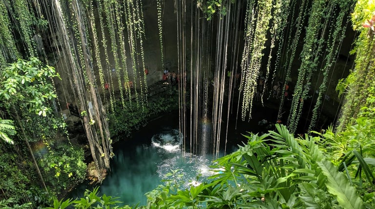 Cenote in Mexico’s Yucatán Peninsula, surrounded by lush greenery