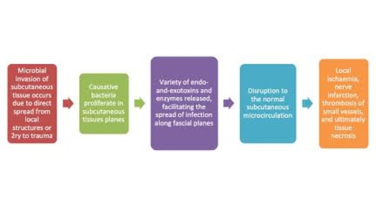 multidisciplinary teams Necrotizing fasciitis2