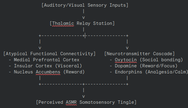 An Graph Showcasing How The Brain Processes Inputs.