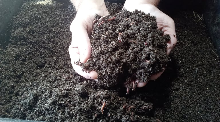 Handfull of worm castings