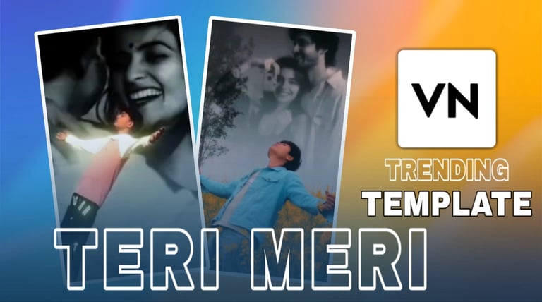 TERI MERI
