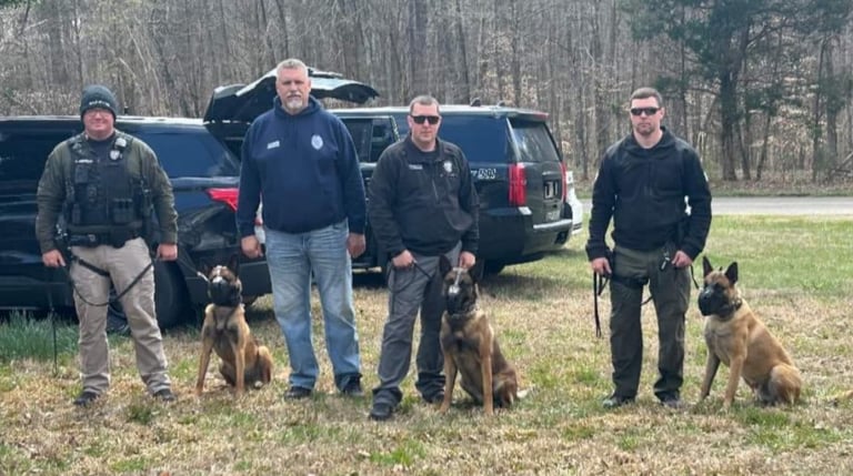 OnPoints Dogs