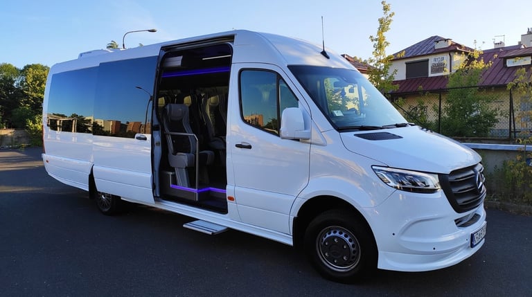 إيجار باص سياحي للعوائل الكبيره و المجموعات  مرسيدس سبرنتر فى النمسا 