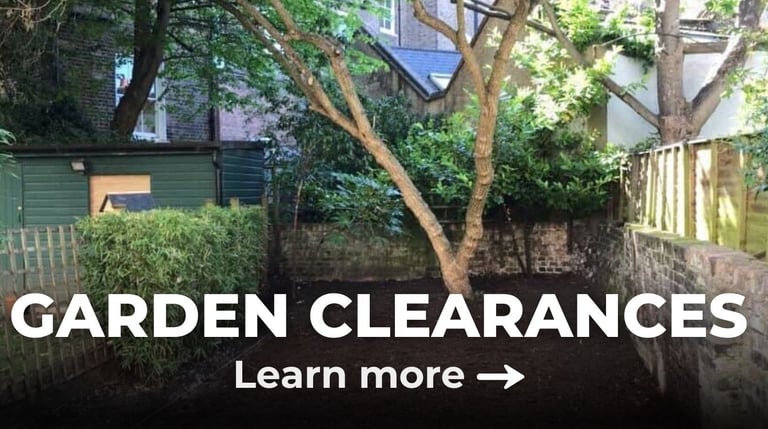 after picture of a garden clearance