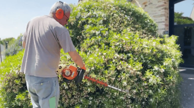 Ouvrier d'espaces verts taillant une haie