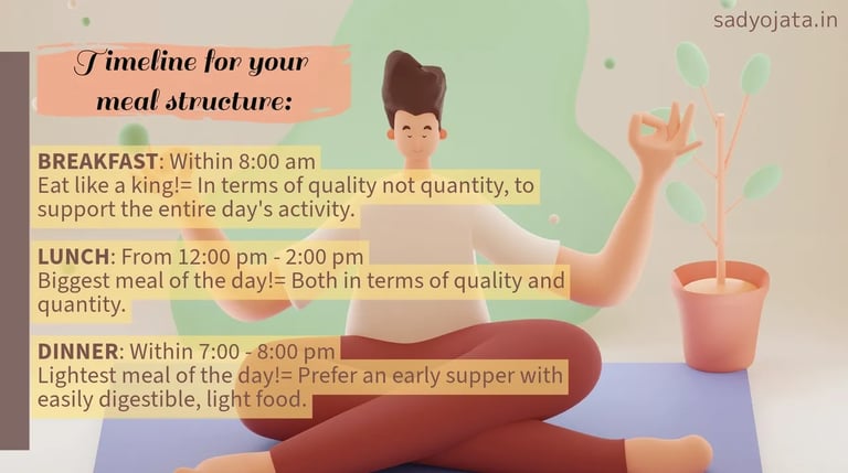 Structured Meal Timeline
