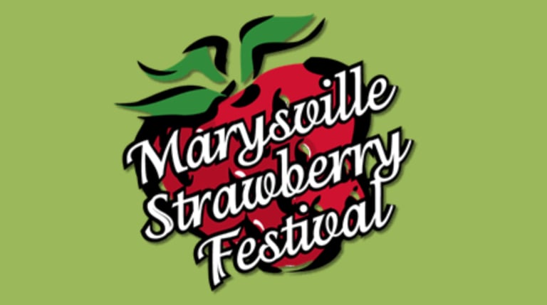Strawberry Festival Photo