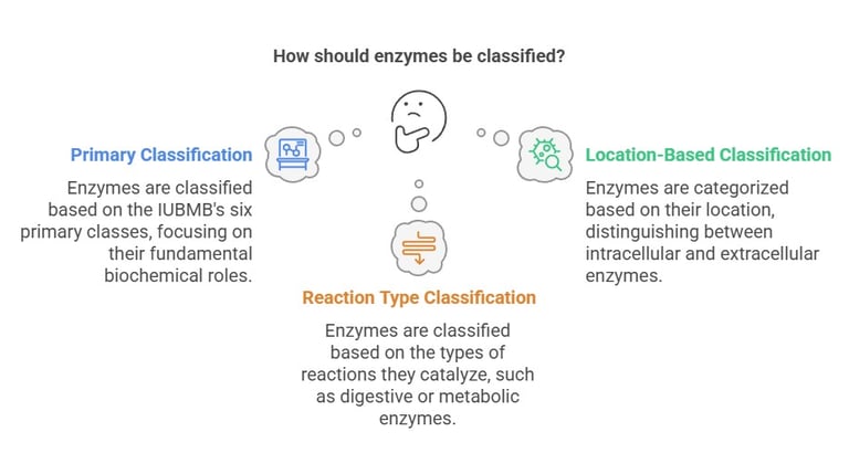 bases of enzyme classification