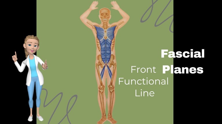image of Hope in front of Front Functional Line fascial plane