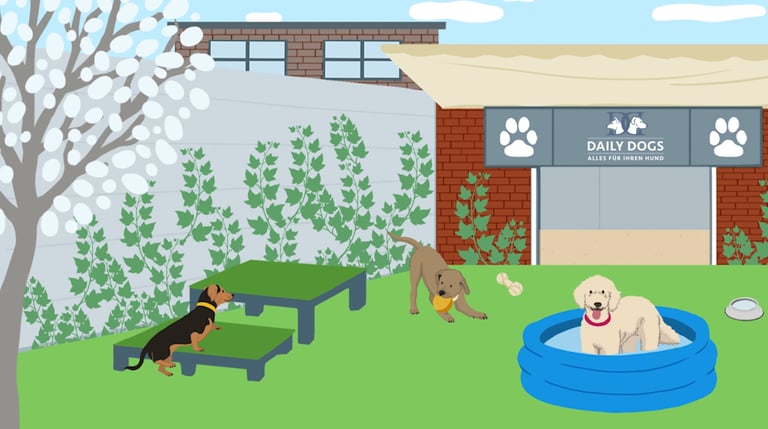 a garden with a dog sitting in a pool, a dog playing with a ball and a dog climbing stairs.