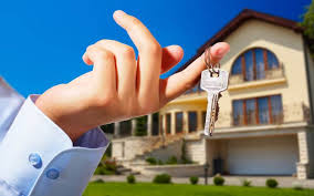 We provide expert consultancy services in real estate purchases.