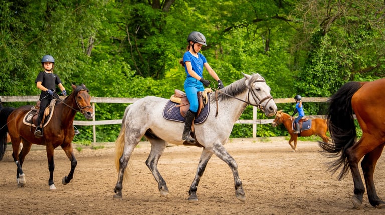 a girl riding a horse in a fenced in area