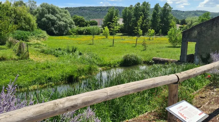 A Saint-Paul-Trois-Châteaux, non loin du mas de l'Enclos du Soleil le Vent, on peut faire de nombreuses promenades