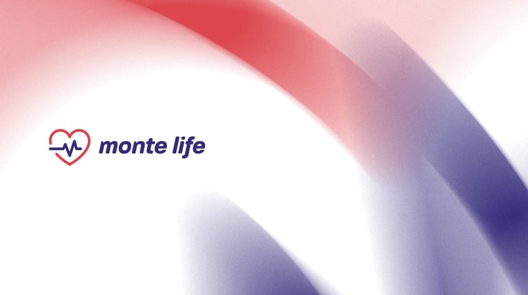monte life corretora de seguros