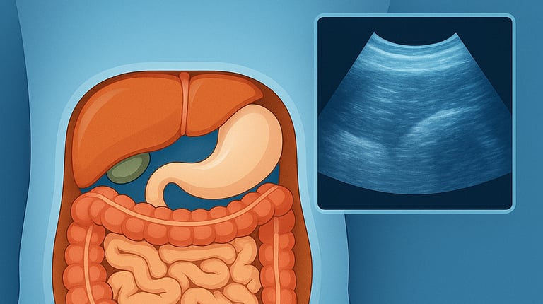 Ecografia addome completo Qualiano - Studio fegato, colecisti, pancreas, reni, presso Dott. Picascia