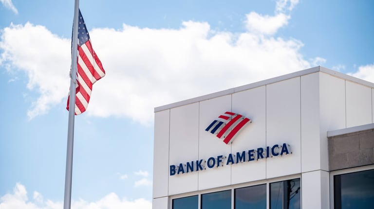 the purpose of this image is to show that our services are related to banks and bank statements