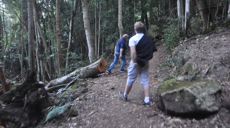 Federal walking Track, the blue mountains, Katoomba, Blue Mountains, Australia