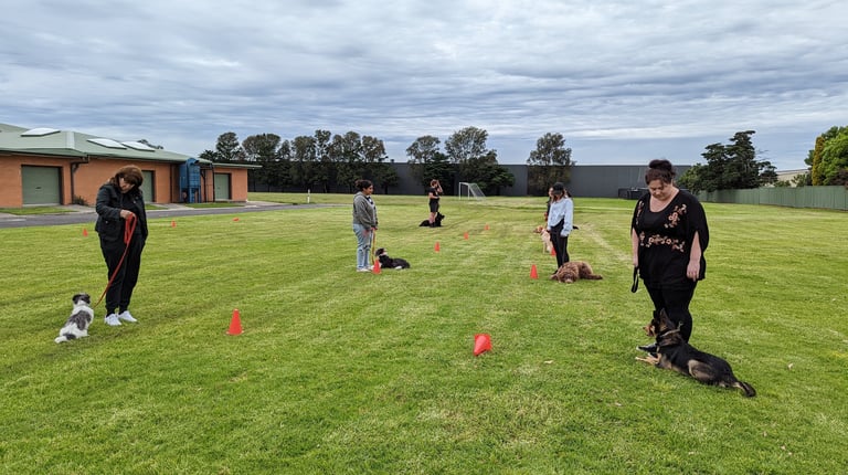 Group training their dogs to be patient stopping on lead