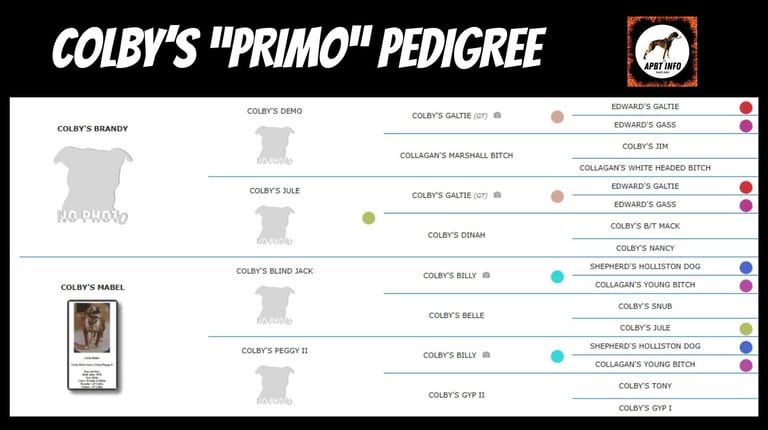 colby's primo pedigree