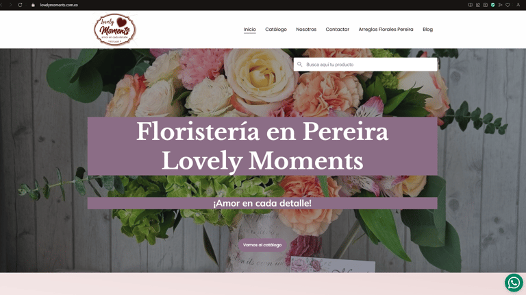 diseño de páginas web en pereira