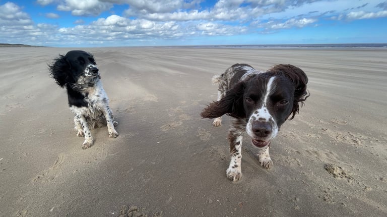 Bruno and Mabel Billington on Mablethorpe beach