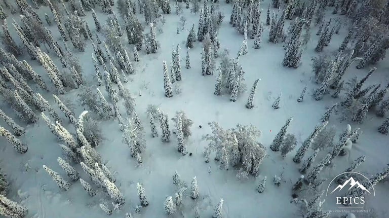 Ski de randonnée en Sibérie au milieu d'immenses sapins couverts de neige