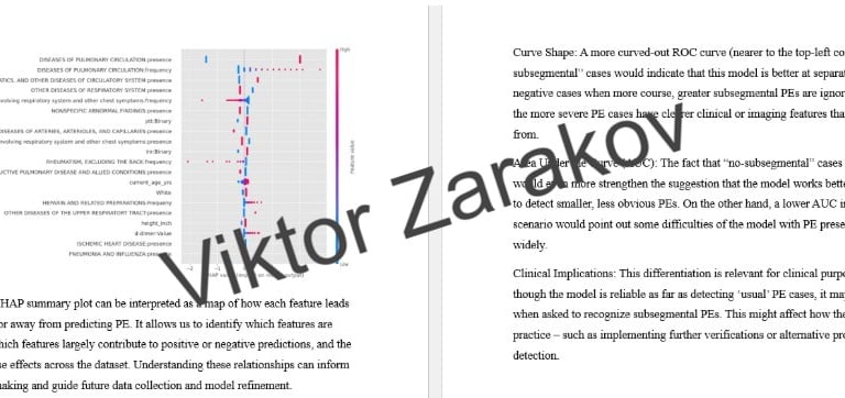 SHAP summary plot Viktor Zarakov