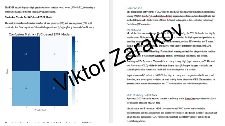 YOLO8 model on that dataset Matrix