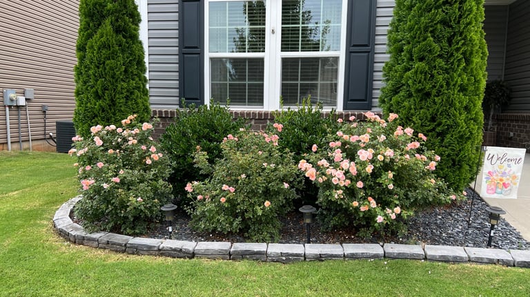 Front flowerbed with shrubs, newly installed grey stone border and slate for mulch.