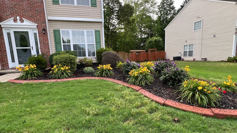Flower bed with yellow daylilies and purple dwarf butterfly bushes in bloom.