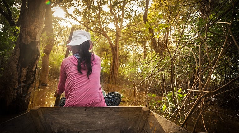 Bosque inundado Kompong Phluk