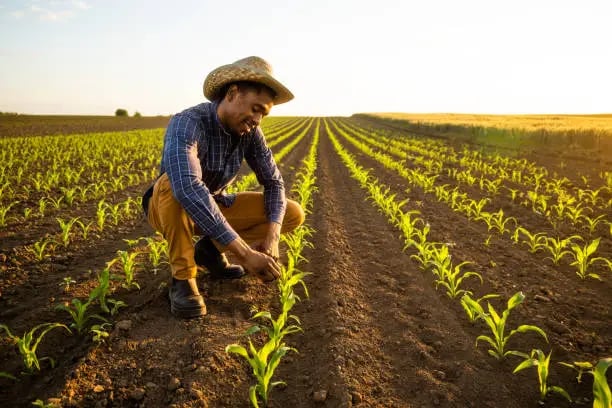 intérim agriculture