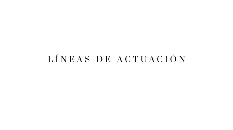 Jaen centro l Asociación de vecinos. Líneas de actuación. Jaén centro