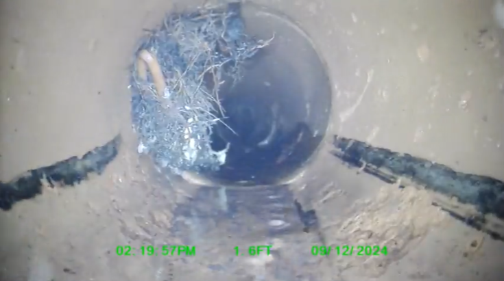 Example of a sewer that needs cleaned