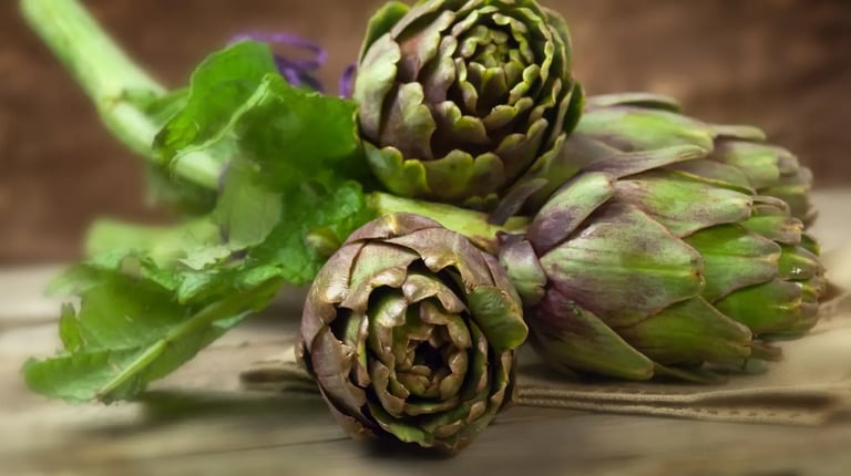 Artichaut. Tout savoir sur l'artichaut, du semis à la dégustation.  Les bienfaits nutritionnels. 
