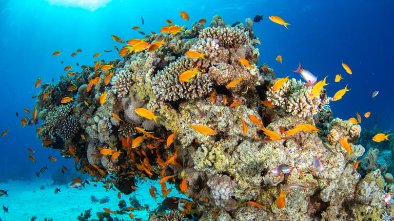 Hurghada - EGYPTE