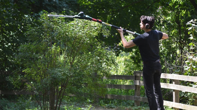 Taille de haies/d'arbustes à Soisy-sur-Seine et aux alentours.