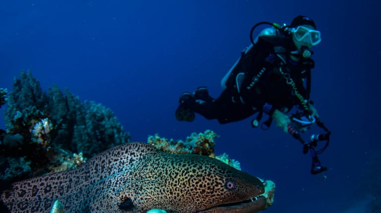 Hurghada - EGYPTE