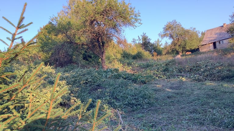 Tvarkomas apleistas sklypas, pjaunami krūmai