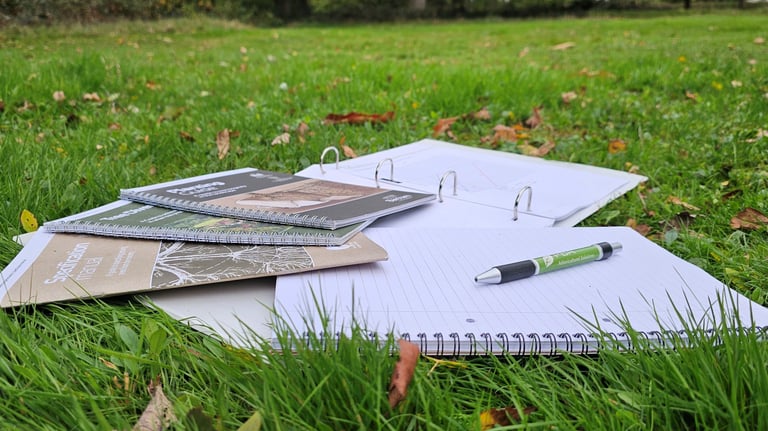 books spread out on grass